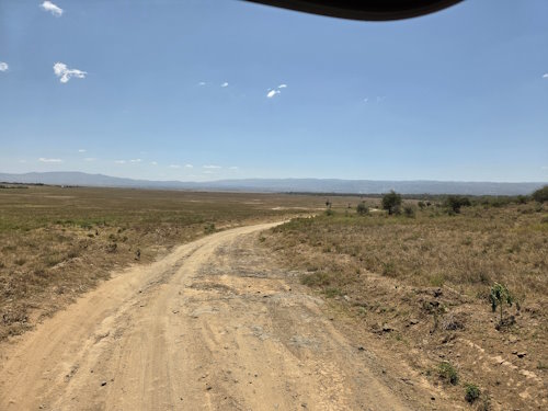 Driving in Masai Mara